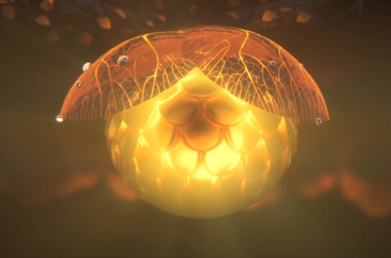 The last test of Monkey