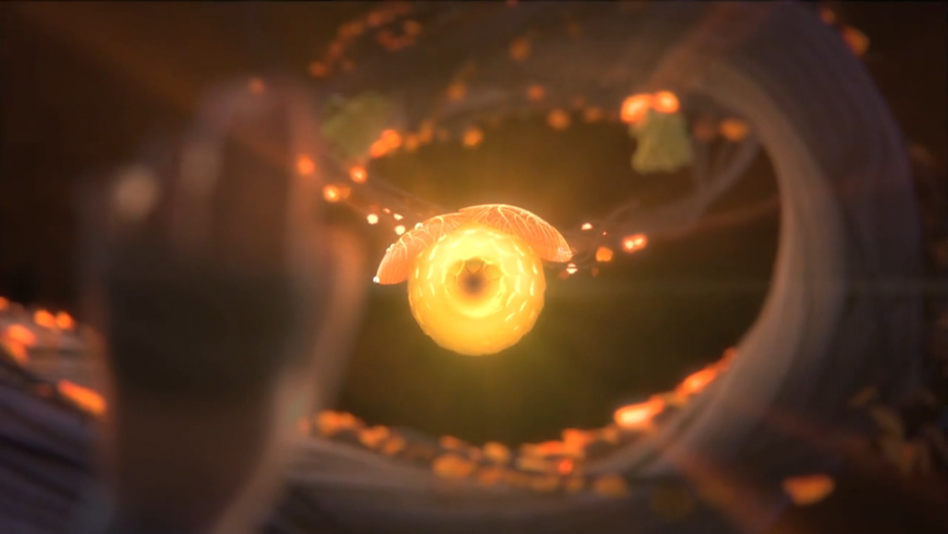 The last test of Monkey