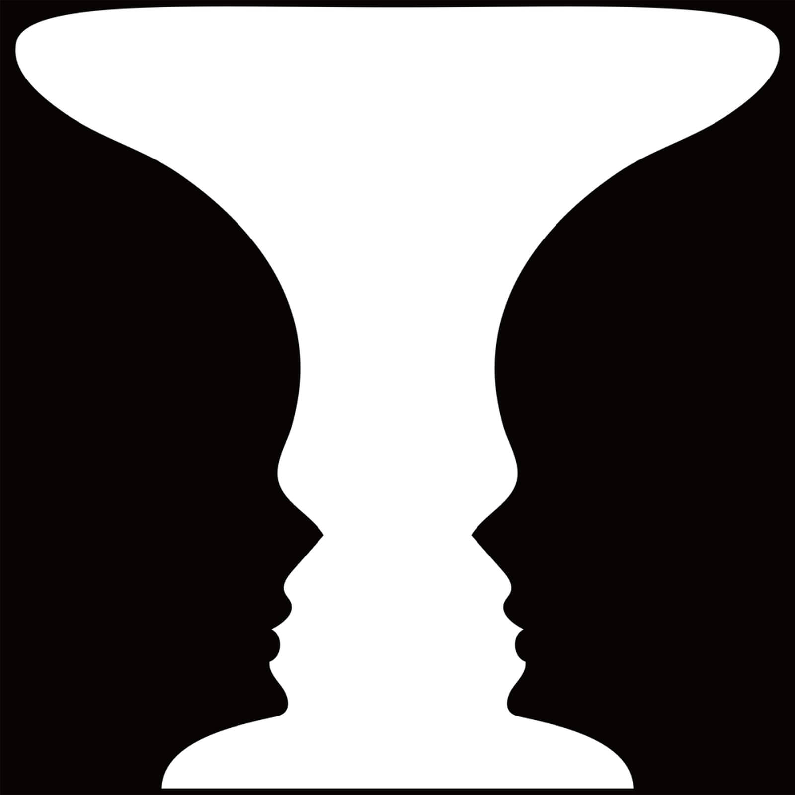 rubin s vase vtc academy