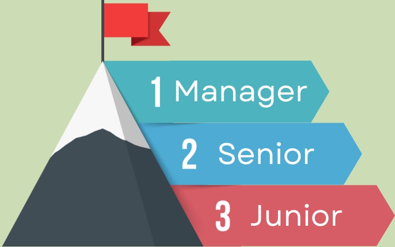 Lộ trình thăng tiến của lập trình viên