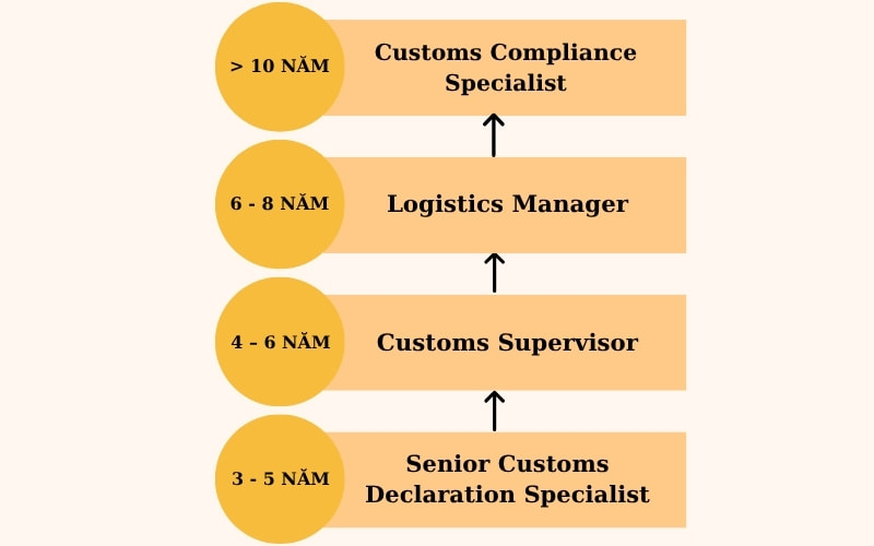 Giải mã nghề Nhân viên khai báo hải quan (Customs Declaration Staff): "Người Gác Cổng" chiến lược của ngành Logistics 5 Mức lương và cơ hội thu nhập: Phần thưởng cho trách nhiệm