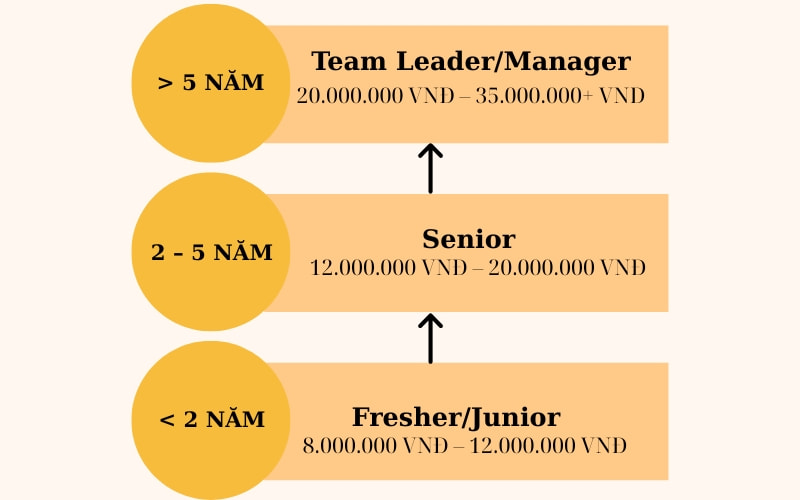 Lộ trình sự nghiệp và mức lương ngành thu mua tại Việt Nam