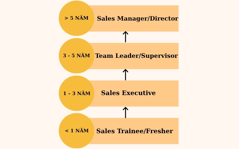 Lộ trình sự nghiệp và tiềm năng thu nhập hấp dẫn